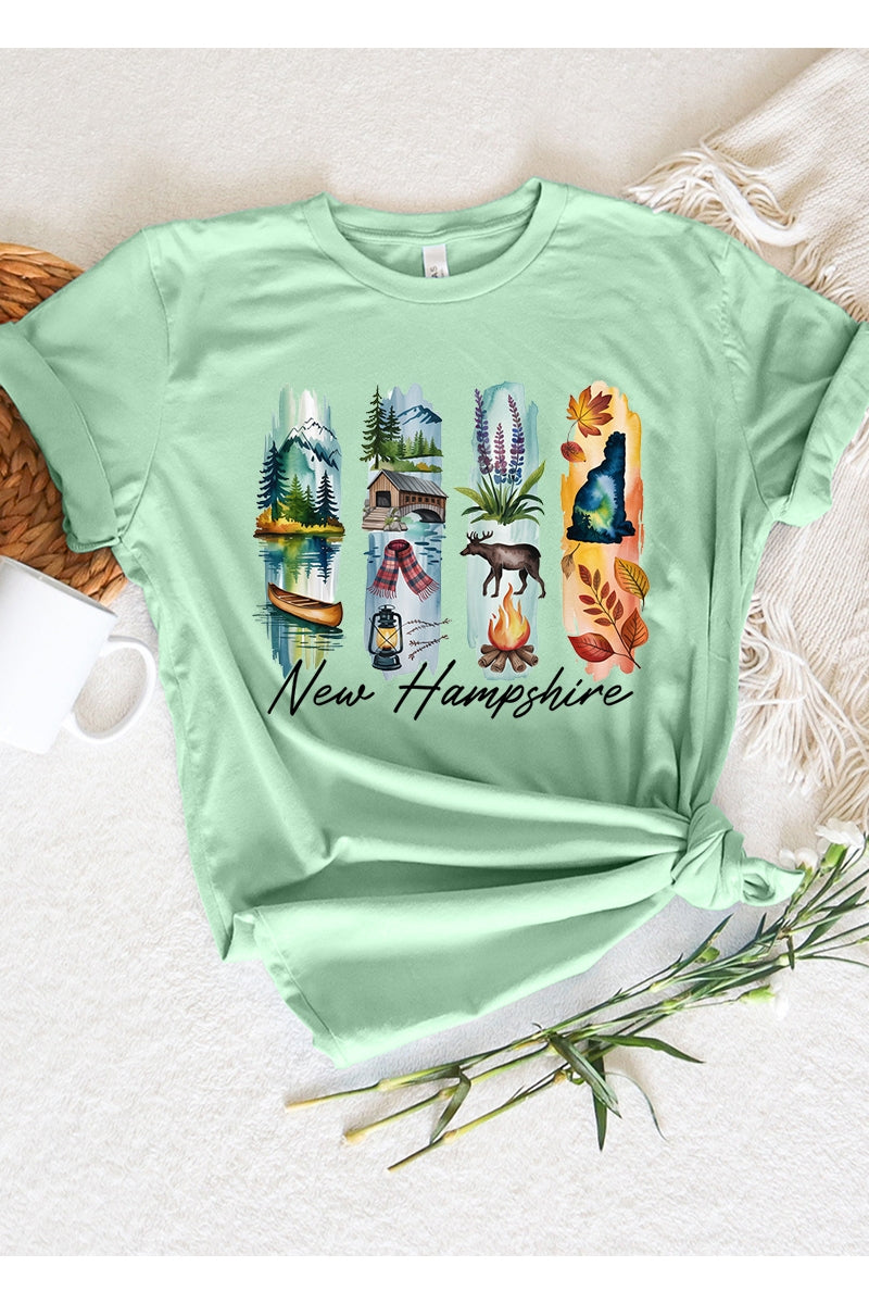 US3001P-E3061NH New Hampshire State Brushstroke Graphic Plus Tee $16