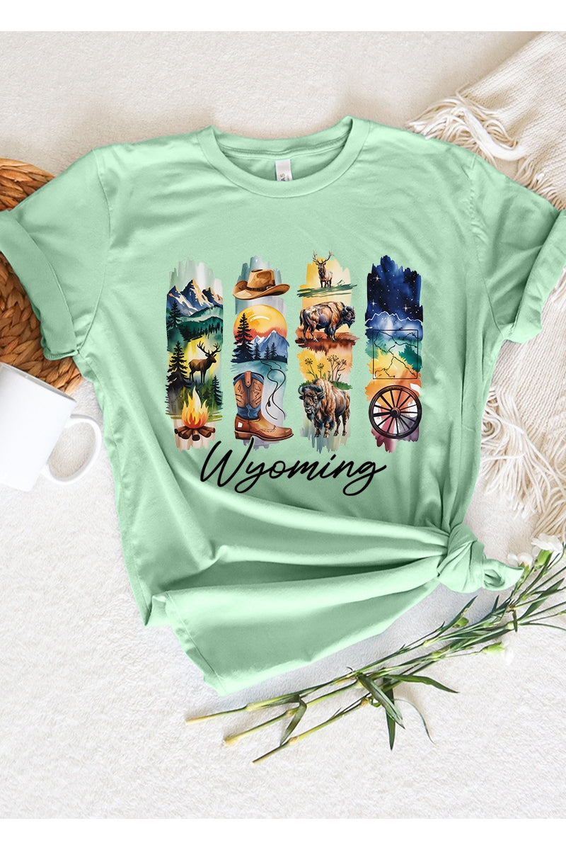 US3001P-E3061WY Wyoming State Brushstroke Graphic Plus Tee $16
