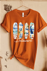 US3001-E3061DE Delaware State Brushstroke Graphic Tee $12.5