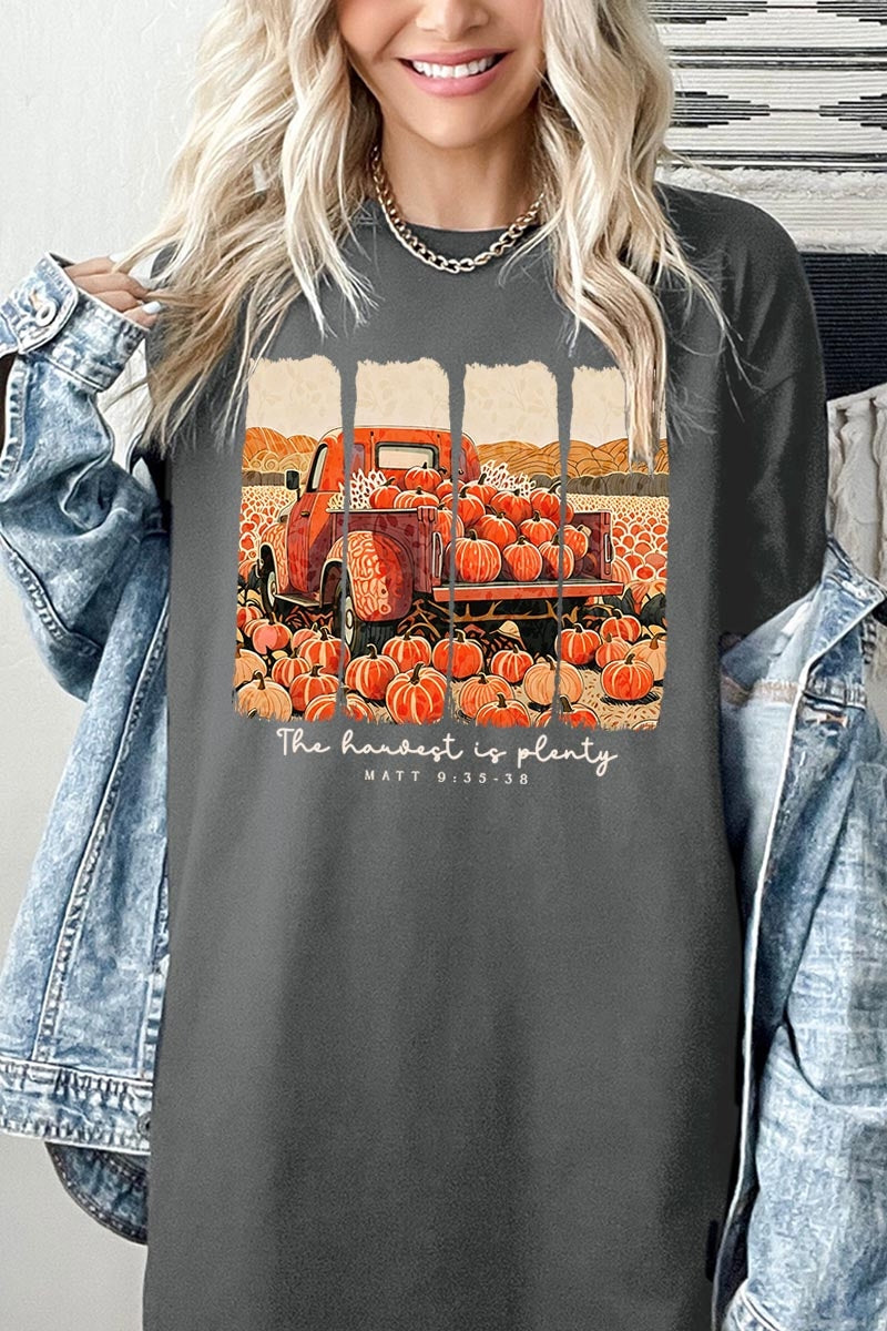 5000P-E3172 Harvest Is Plenty Graphic Plus Heavy Cotton Tee $12.75