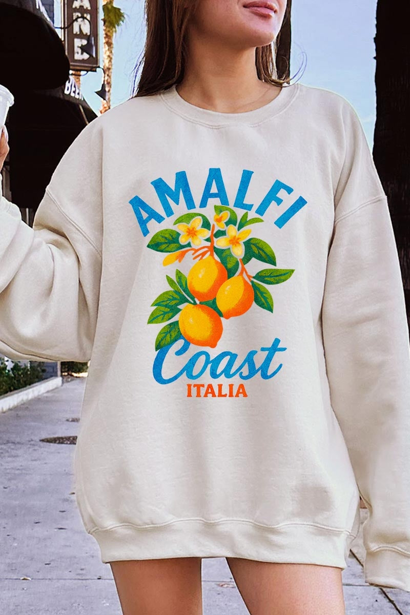 UL180-E3470 America 250 Gingham Graphic Sweatshirt $20
