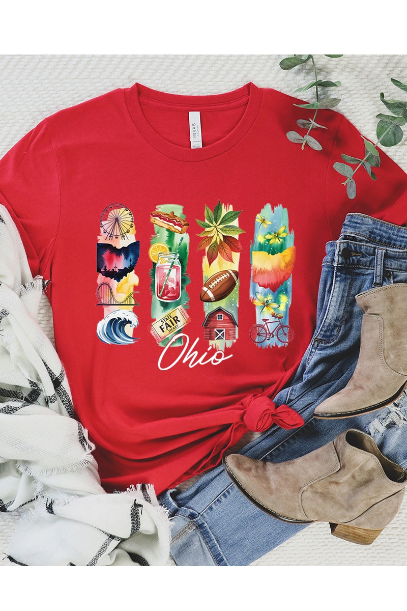 US3001P-E3061OH Ohio State Brushstroke Graphic Plus Tee $16