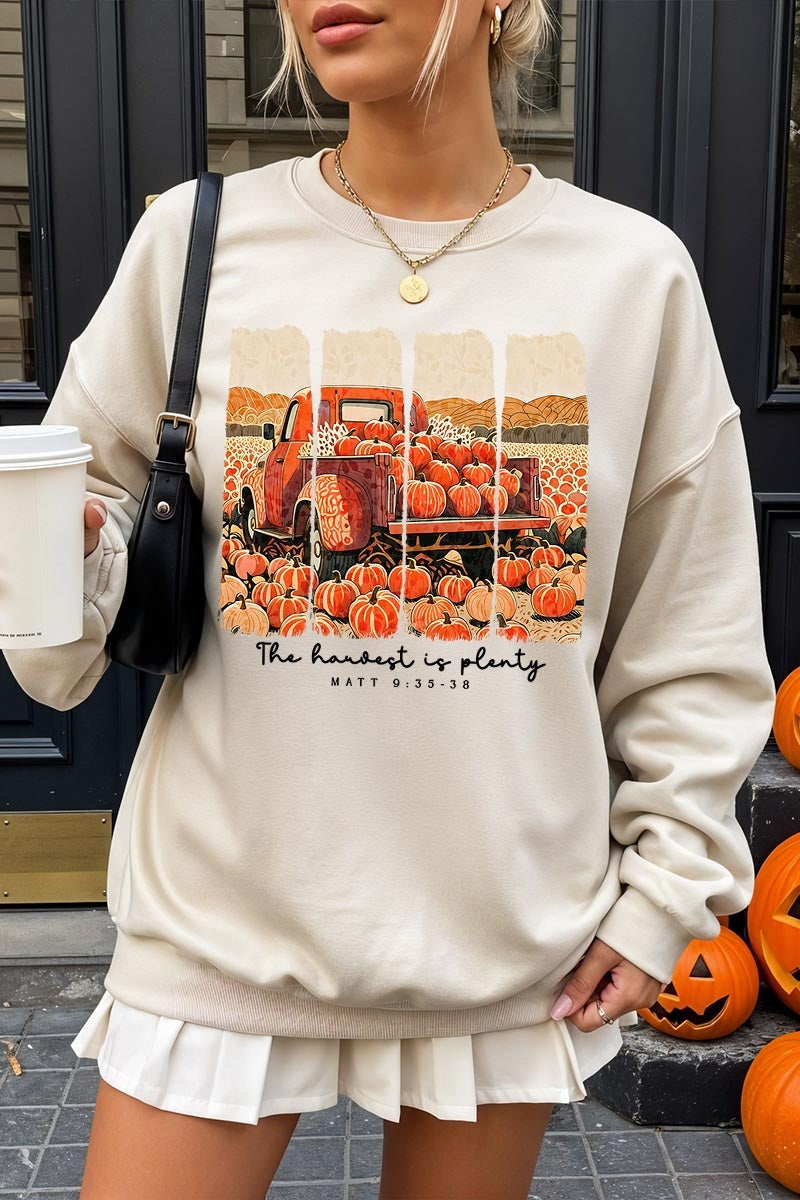 UL180-E3172 Harvest Is Plenty Graphic Sweatshirt $20