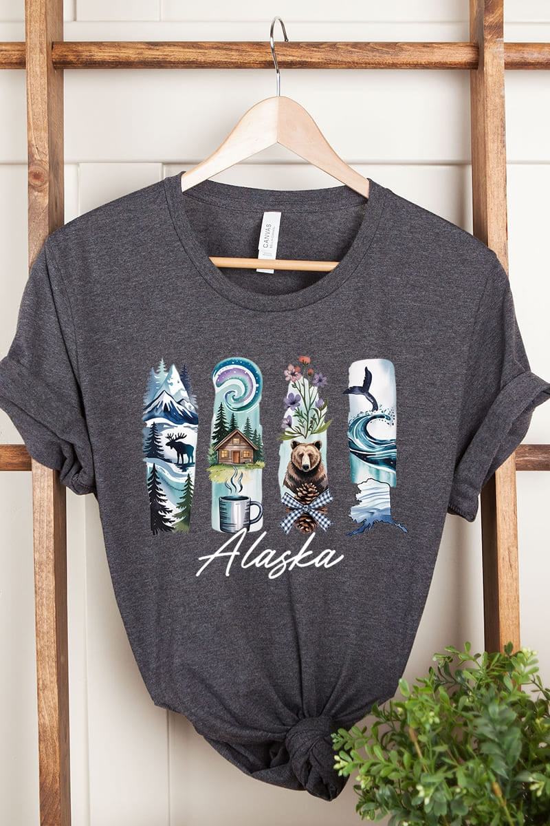 US3001P-E3061AK Alaska State Brushstroke Graphic Plus Tee $16