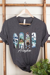 US3001P-E3061AK Alaska State Brushstroke Graphic Plus Tee $16