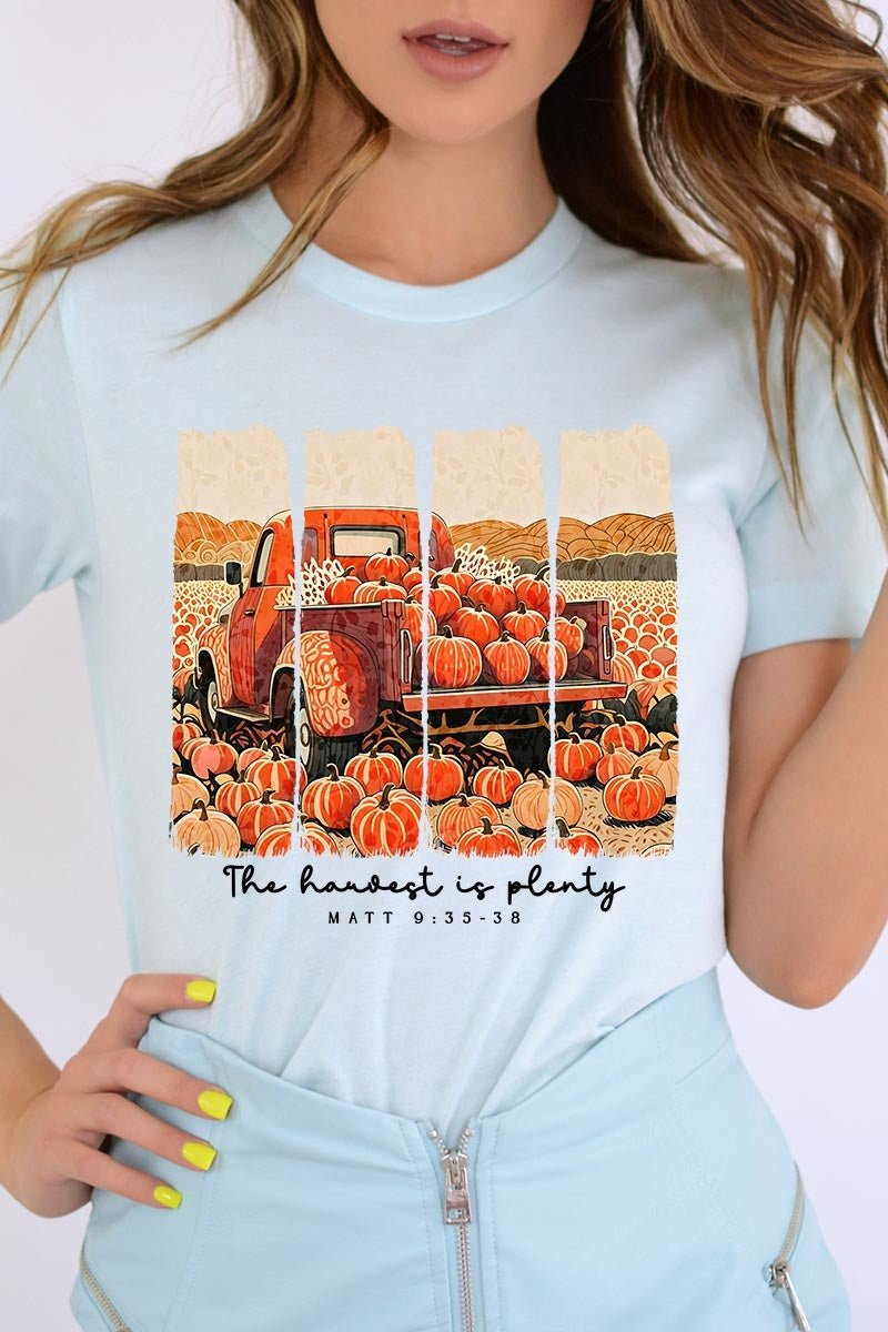 US3001-E3172 Harvest Is Plenty Graphic Tee $12.5