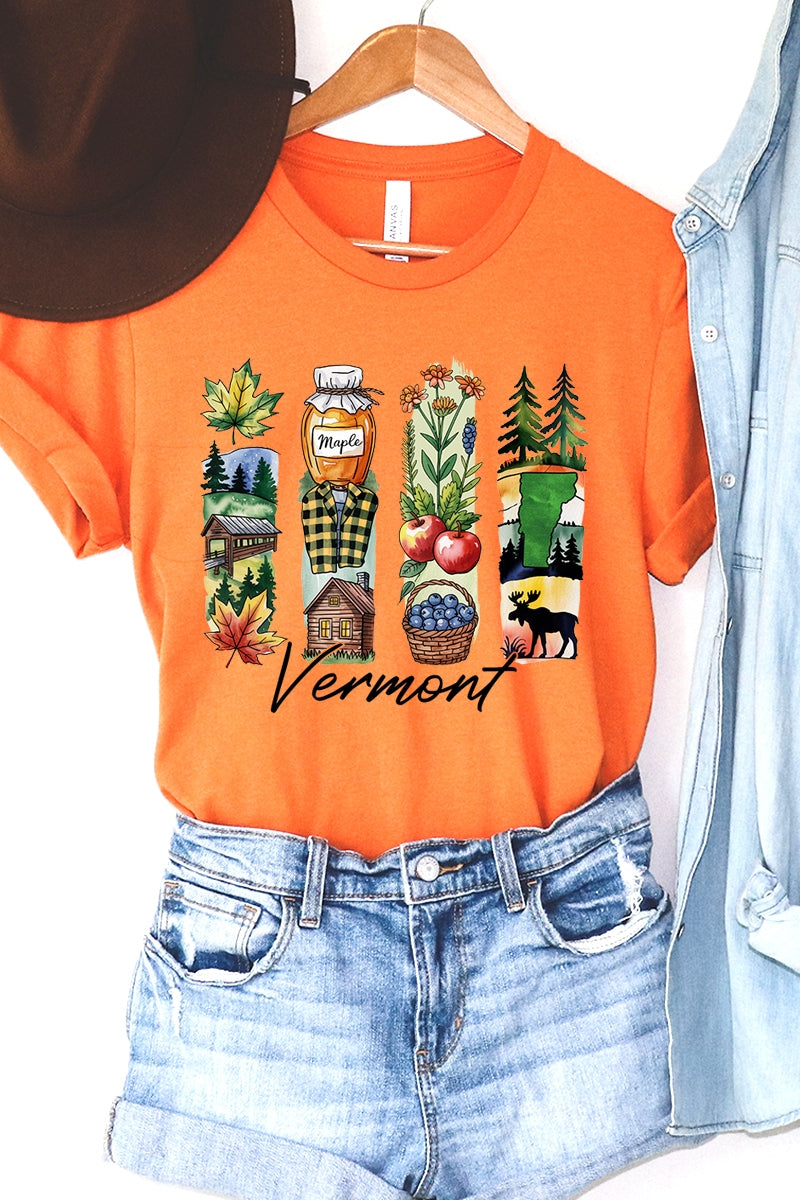 US3001-E3061VT Vermont State Brushstroke Graphic Tee $12.5