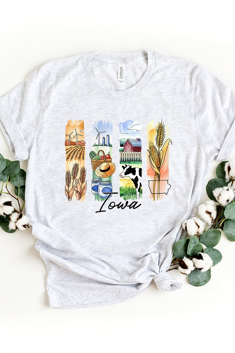US3001P-E3061IA Iowa State Brushstroke Graphic Plus Tee $16