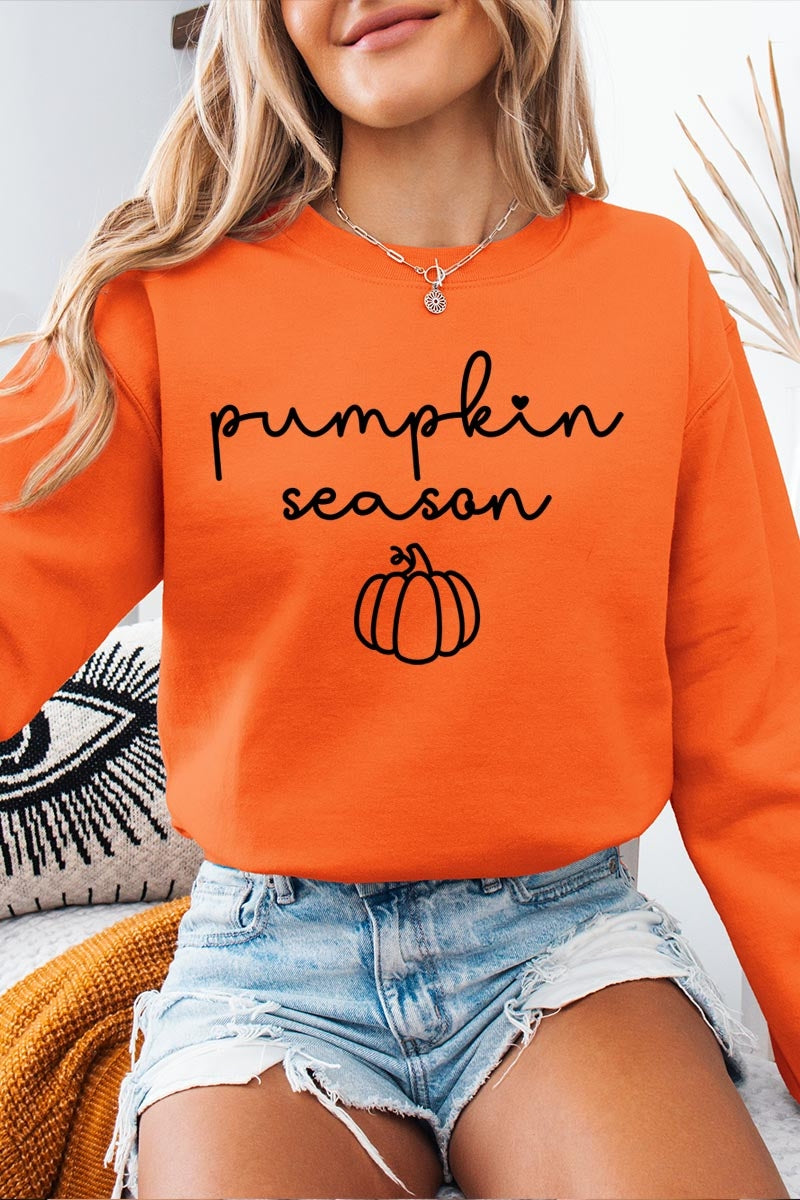 UL180-E3152 Pumpkin Season Graphic Sweatshirt $20