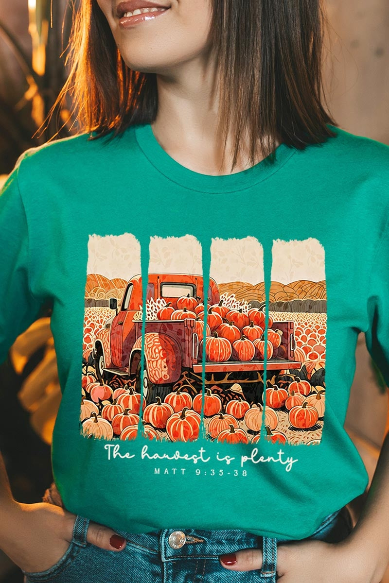 US3001P-E3172 Harvest Is Plenty Graphic Plus Tee $16