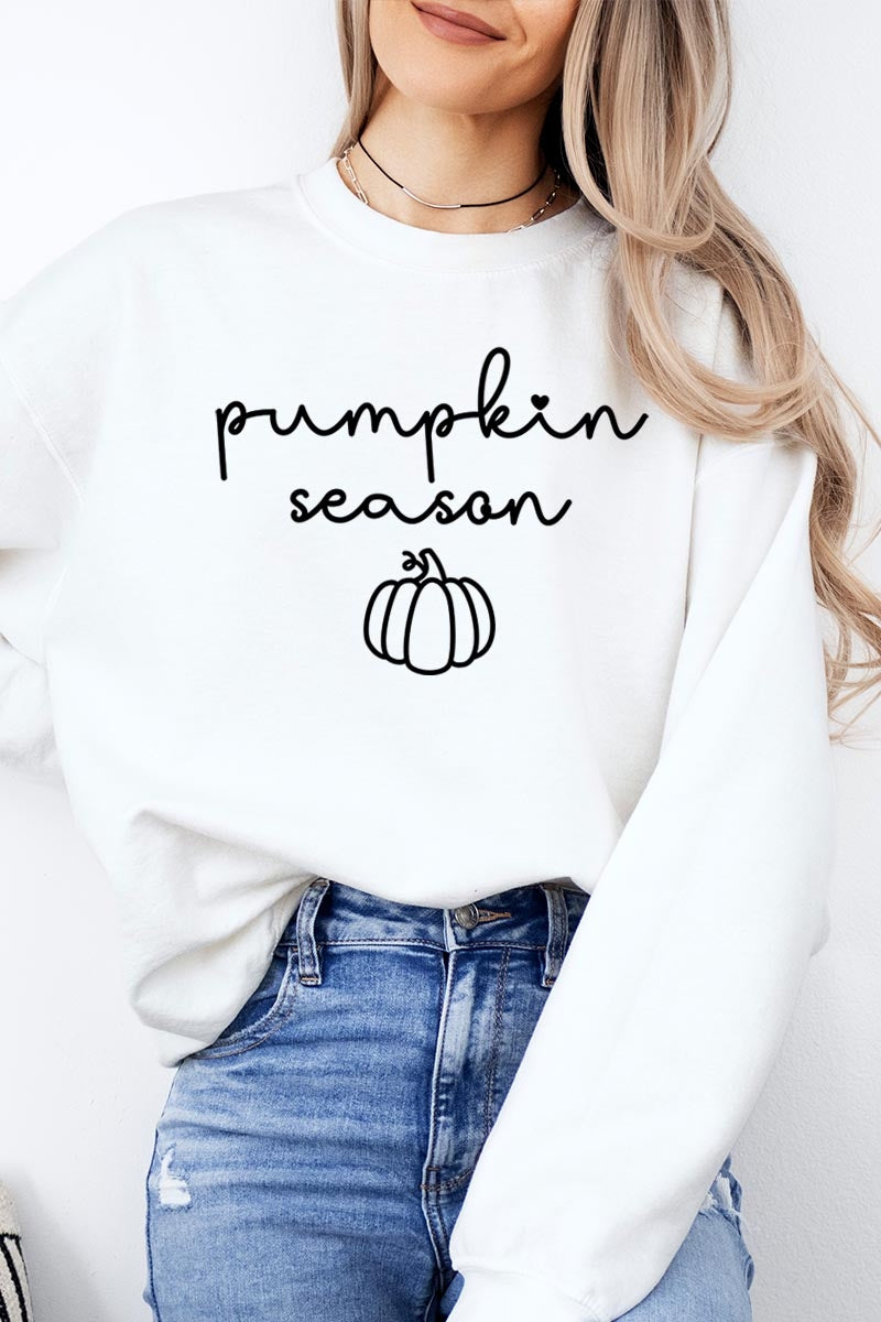 UL180-E3152 Pumpkin Season Graphic Sweatshirt $20