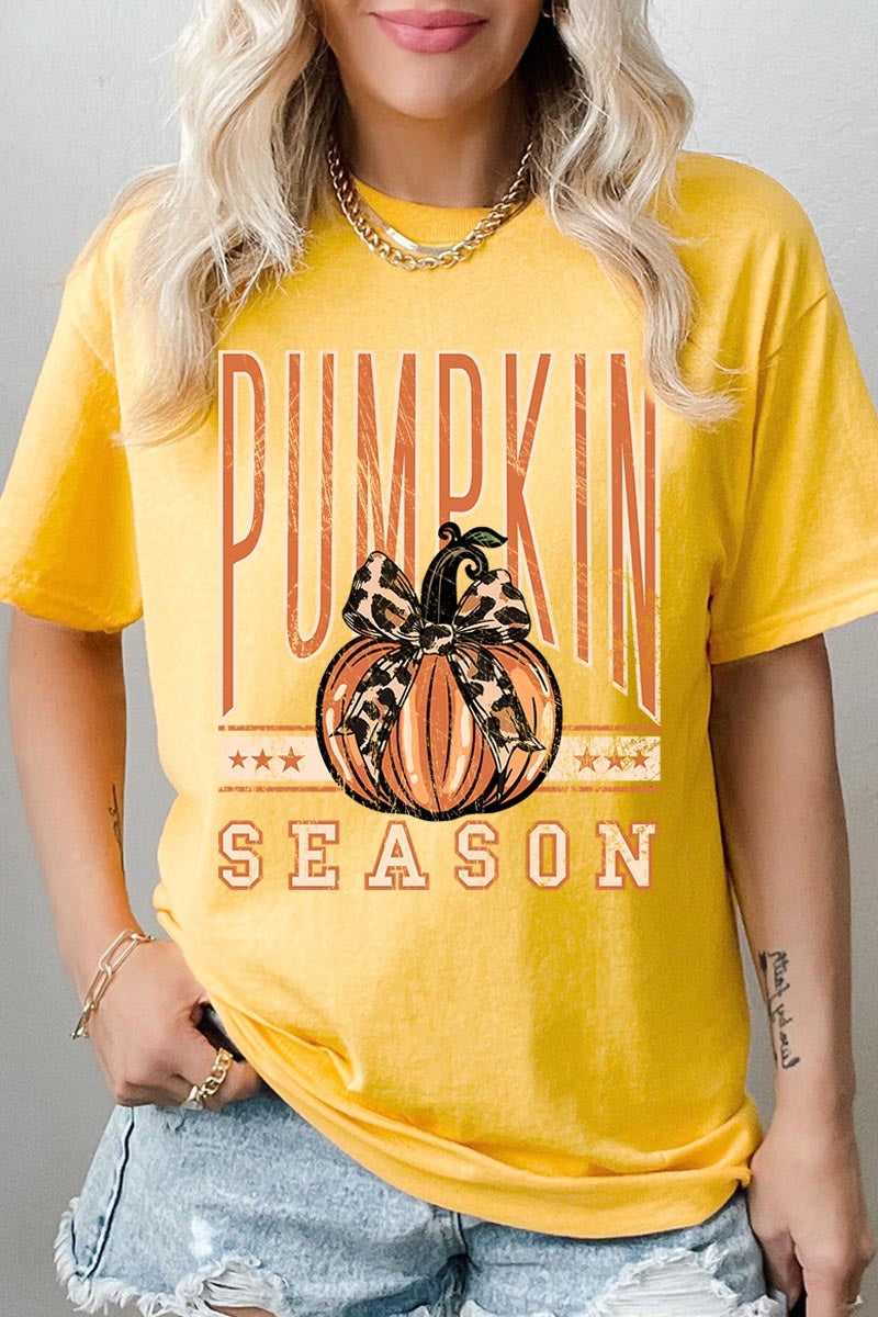 5000P-E3145 Pumpkin Season Graphic Plus Heavy Cotton Tee $12.75