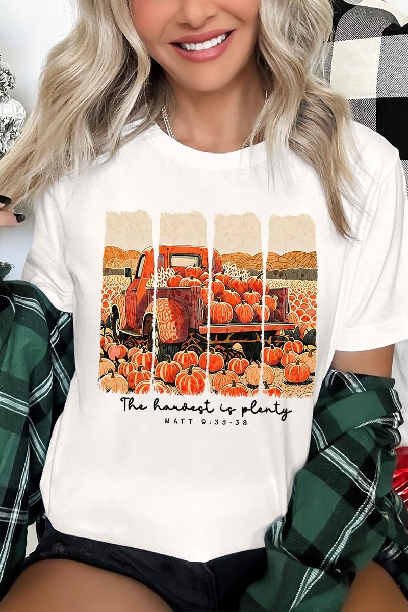 US3001P-E3172 Harvest Is Plenty Graphic Plus Tee $16