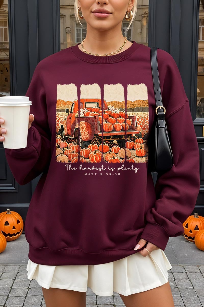 UL180P-E3172 Harvest Is Plenty Graphic Plus Sweatshirt $25