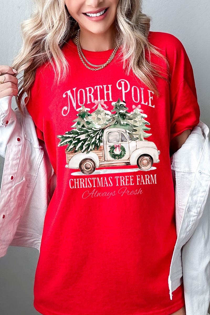 5000P-E3174 North Pole Christmas Graphic Plus Heavy Cotton Tee $12.75