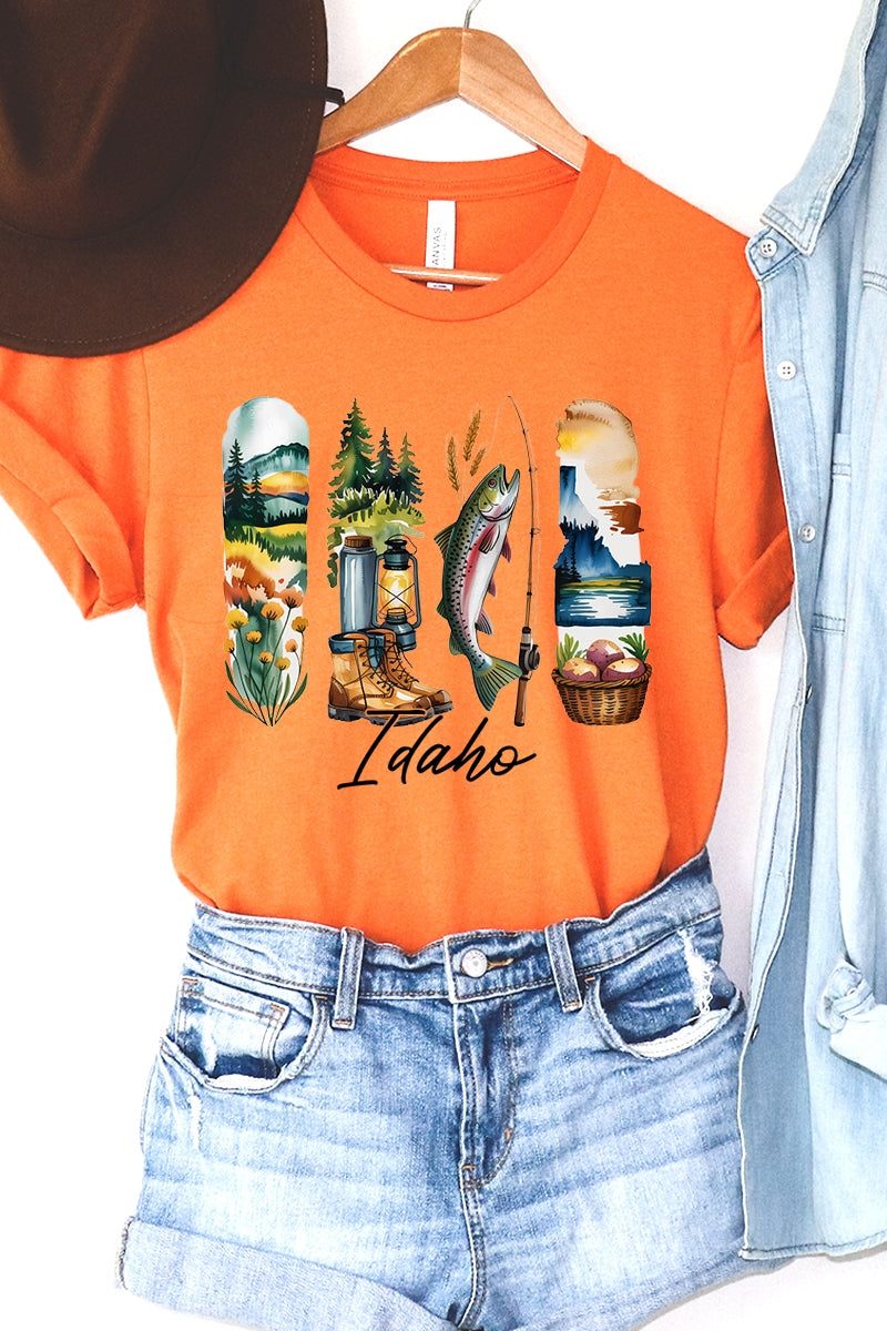 US3001-E3061ID Idaho State Brushstroke Graphic Tee $12.5