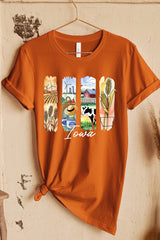 US3001P-E3061IA Iowa State Brushstroke Graphic Plus Tee $16