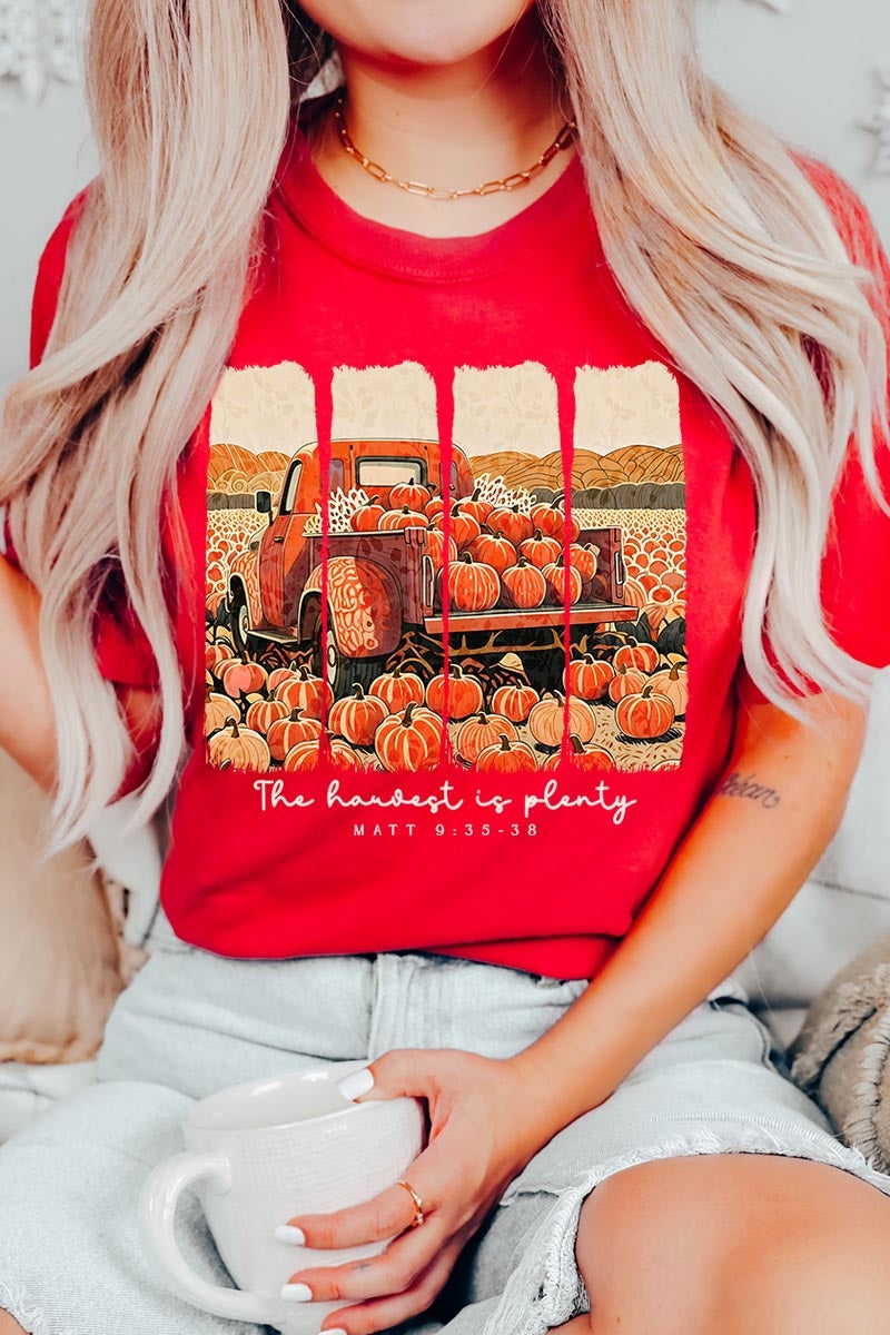 US3001-E3172 Harvest Is Plenty Graphic Tee $12.5