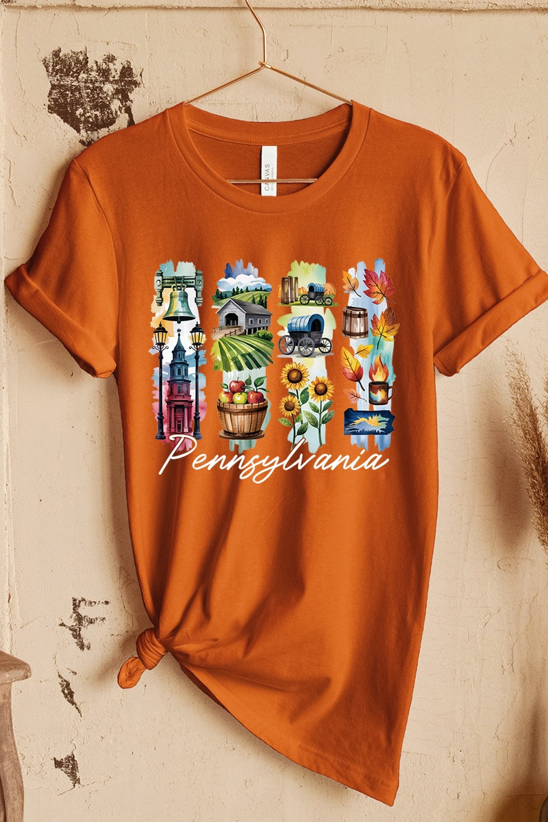 US3001-E3061PA Pennsylvania State Brushstroke Graphic Tee $12.5