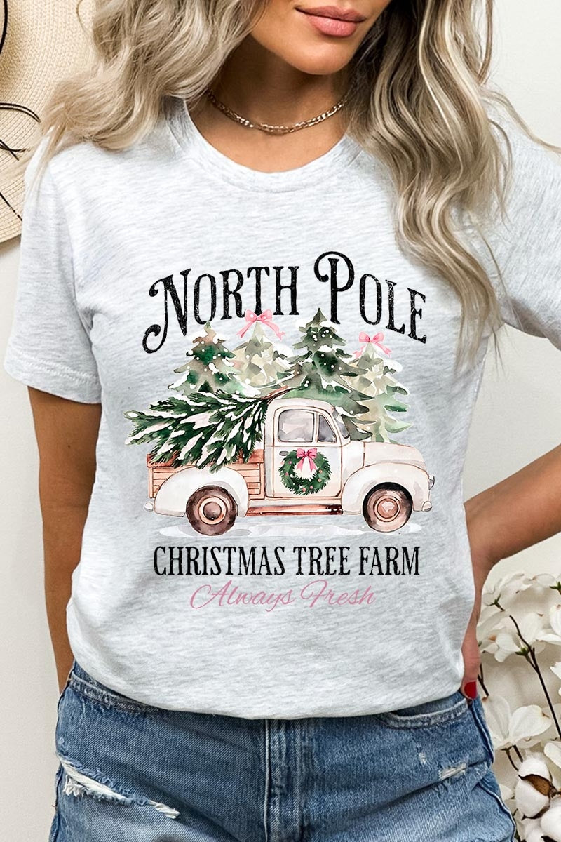 US3001P-E3174 North Pole Christmas Graphic Plus Tee $16