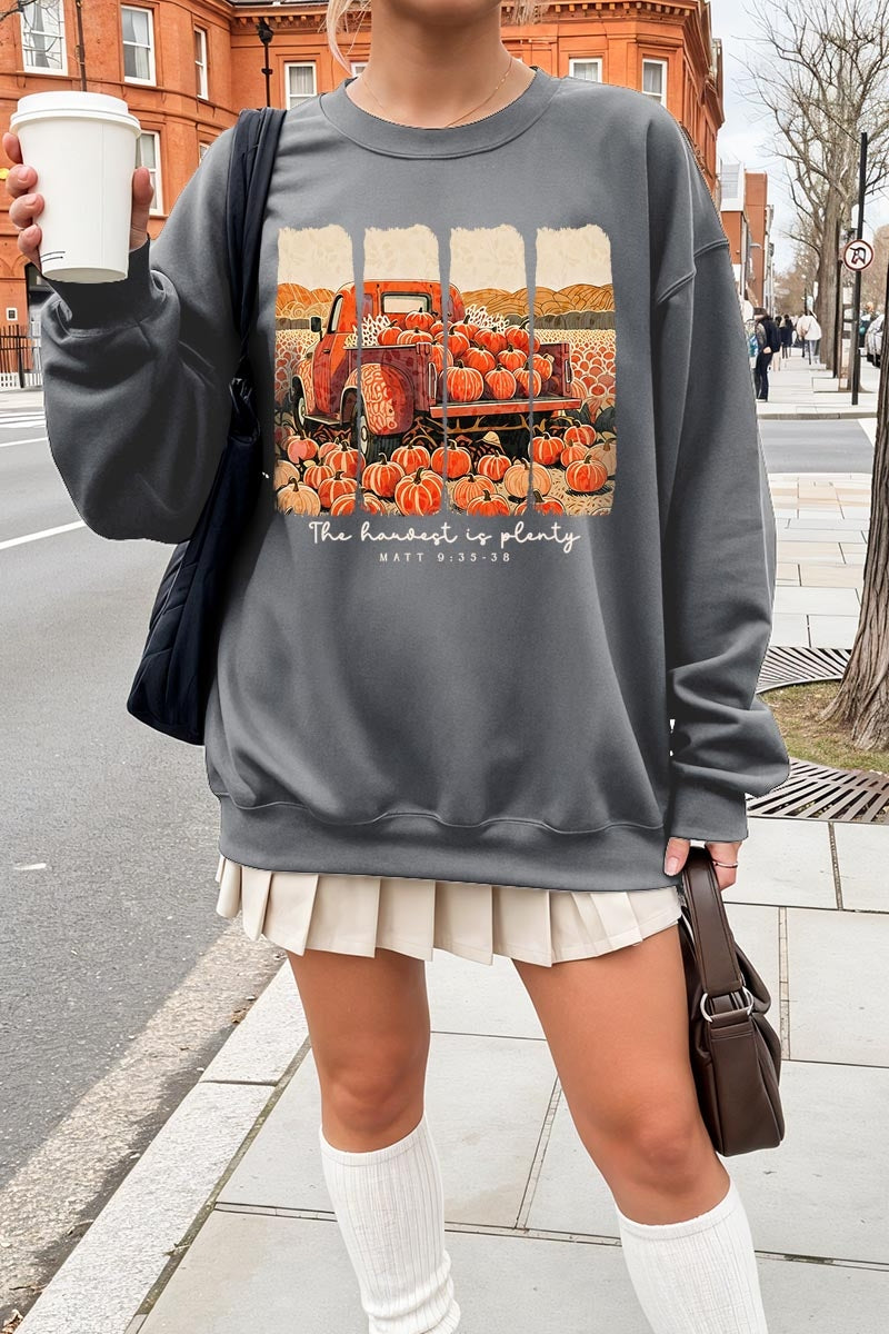 UL180-E3172 Harvest Is Plenty Graphic Sweatshirt $20