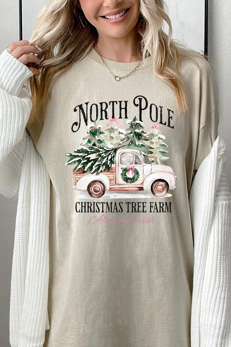 5000-E3174 North Pole Christmas Graphic Heavy Cotton Tee $9