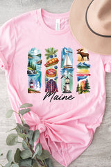 US3001P-E3061ME Maine State Brushstroke Graphic Plus Tee $16