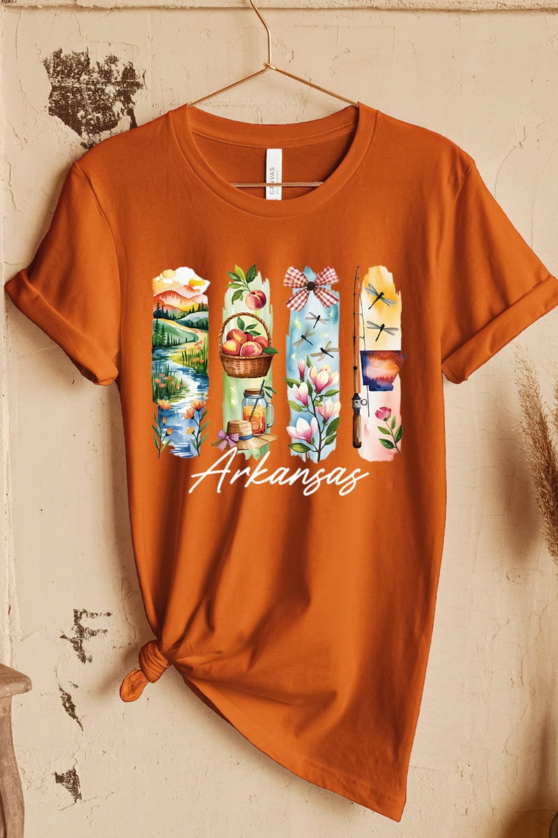 US3001-E3061AR Arkansas State Brushstroke Graphic Tee $12.5