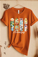 US3001-E3061AR Arkansas State Brushstroke Graphic Tee $12.5