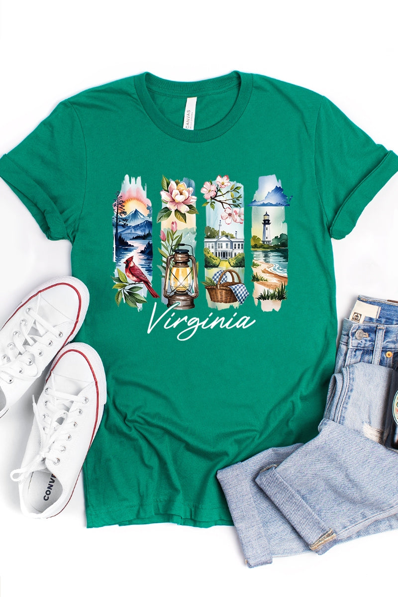 US3001P-E3061VA Virginia State Brushstroke Graphic Plus Tee $16