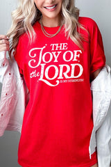 5000P-E3179 Joy of the Lord Graphic Plus Heavy Cotton Tee $12.75