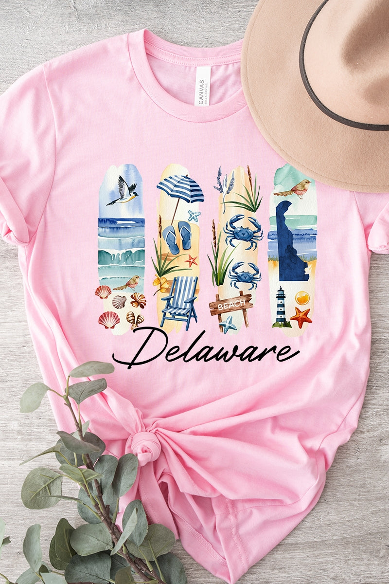 US3001-E3061DE Delaware State Brushstroke Graphic Tee $12.5