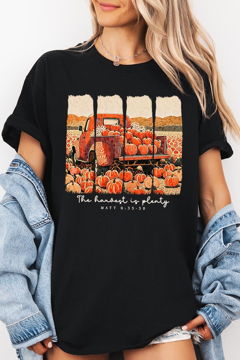 5000-E3172 Harvest Is Plenty Graphic Heavy Cotton Tee $9