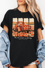 5000P-E3172 Harvest Is Plenty Graphic Plus Heavy Cotton Tee $12.75