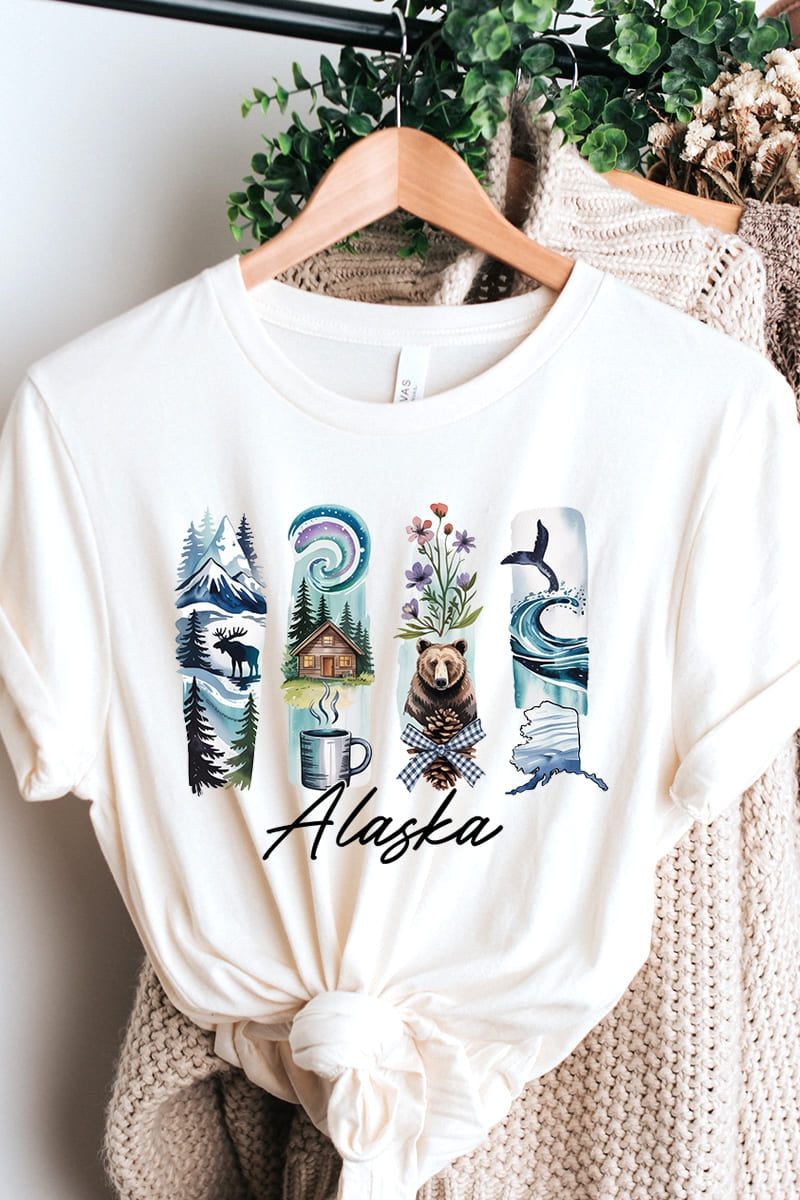 US3001P-E3061AK Alaska State Brushstroke Graphic Plus Tee $16