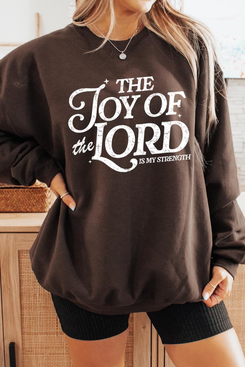 UL180-E3179 Joy of the Lord Graphic Sweatshirt $20