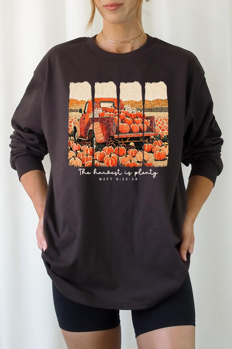 UL240-E3172 Harvest Is Plenty Graphic Long Sleeve Tee $13.75
