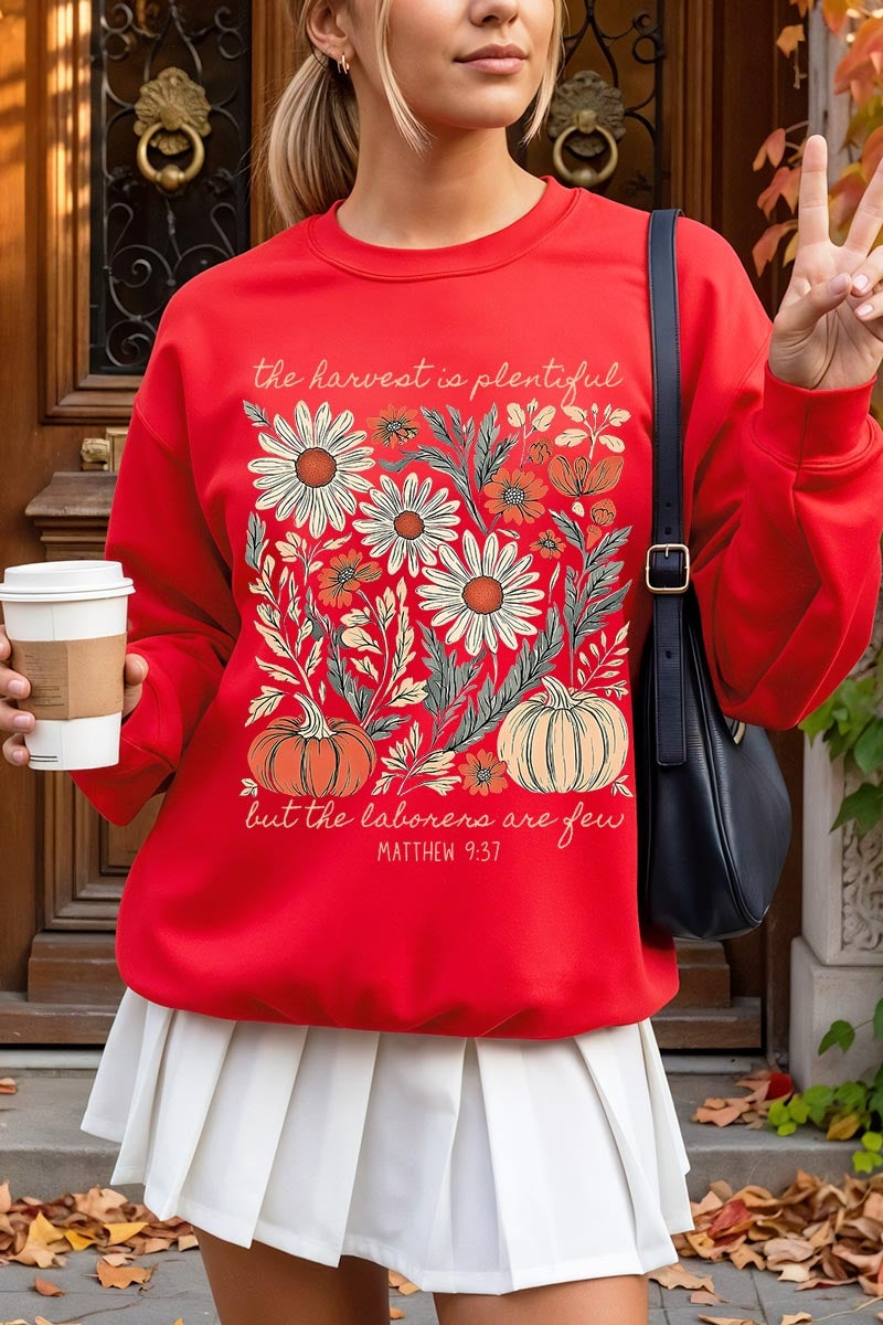 UL180-E3173 Faith Harvest Graphic Sweatshirt $20