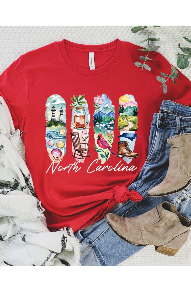 US3001-E3061NC North Carolina State Brushstroke Graphic Tee $12.5