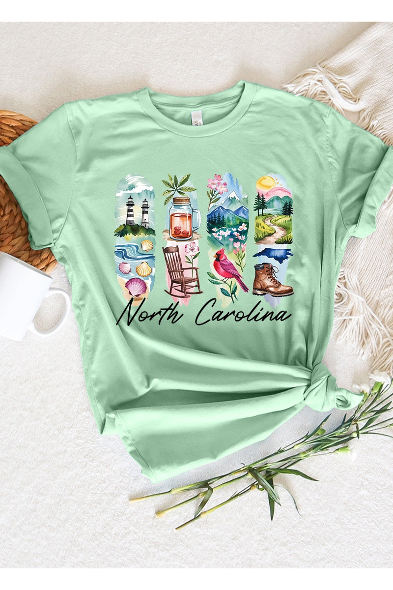 US3001P-E3061NC North Carolina State Brushstroke Graphic Plus Tee $16