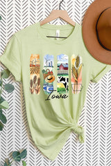 US3001-E3061IA Iowa State Brushstroke Graphic Tee $12.5