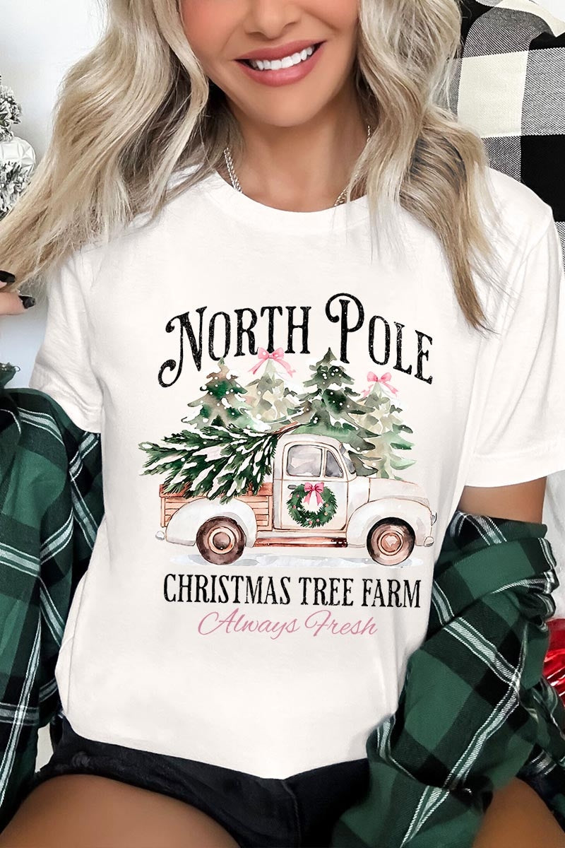 US3001P-E3174 North Pole Christmas Graphic Plus Tee $16