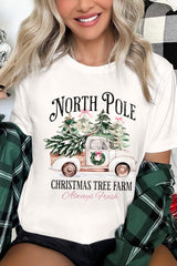 US3001P-E3174 North Pole Christmas Graphic Plus Tee $16
