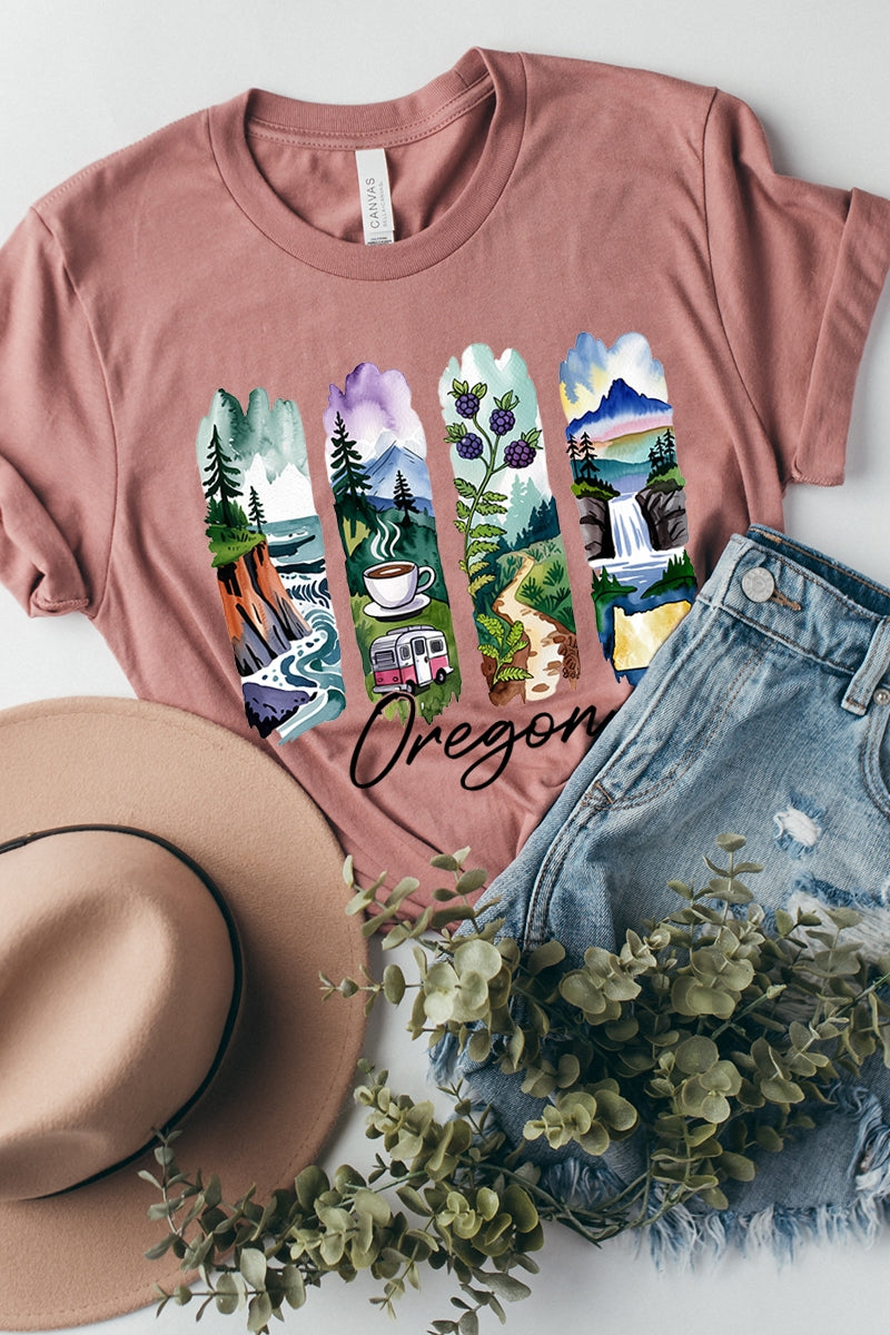 US3001P-E3061OR Oregon State Brushstroke Graphic Plus Tee $16