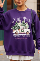 UL180P-E3174 North Pole Christmas Graphic Plus Sweatshirt $25