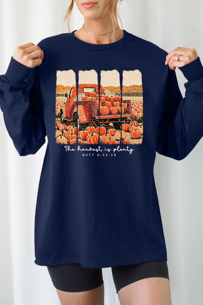 UL240P-E3172 Harvest Is Plenty Graphic Plus Long Sleeve Tee $17