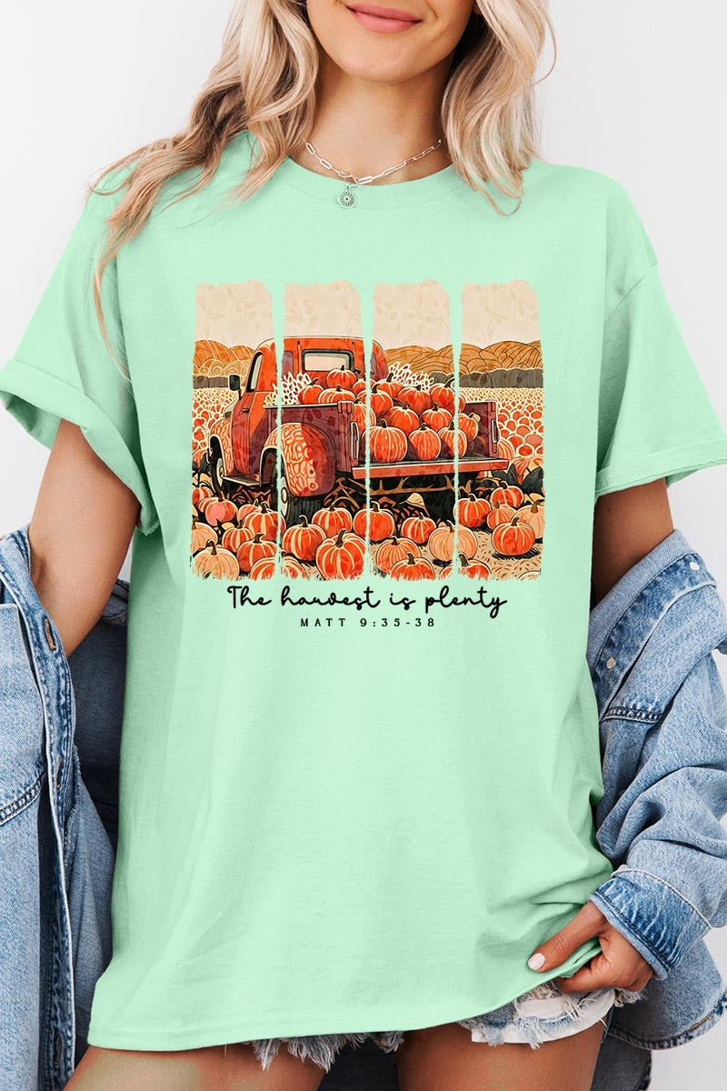 5000-E3172 Harvest Is Plenty Graphic Heavy Cotton Tee $9