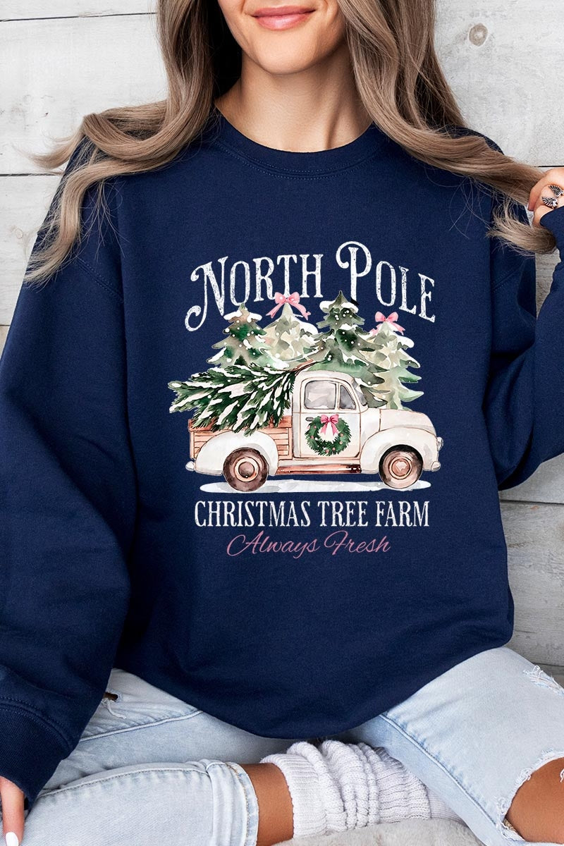 UL180-E3174 North Pole Christmas Graphic Sweatshirt $20