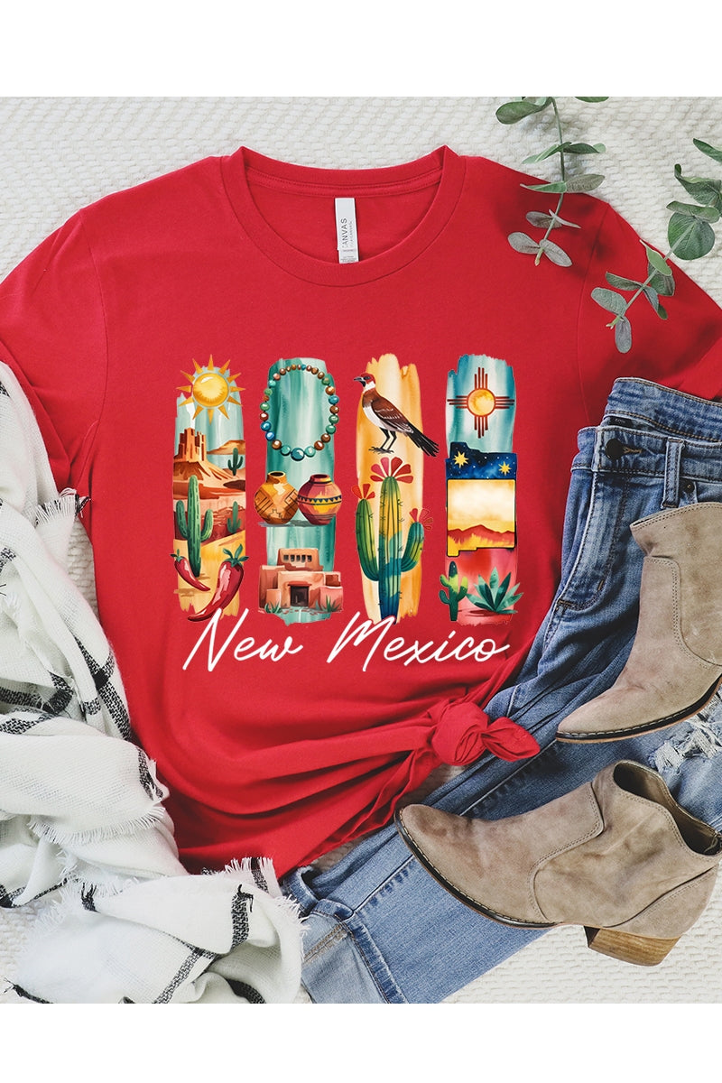 US3001P-E3061NM New Mexico State Brushstroke Graphic Plus Tee $16