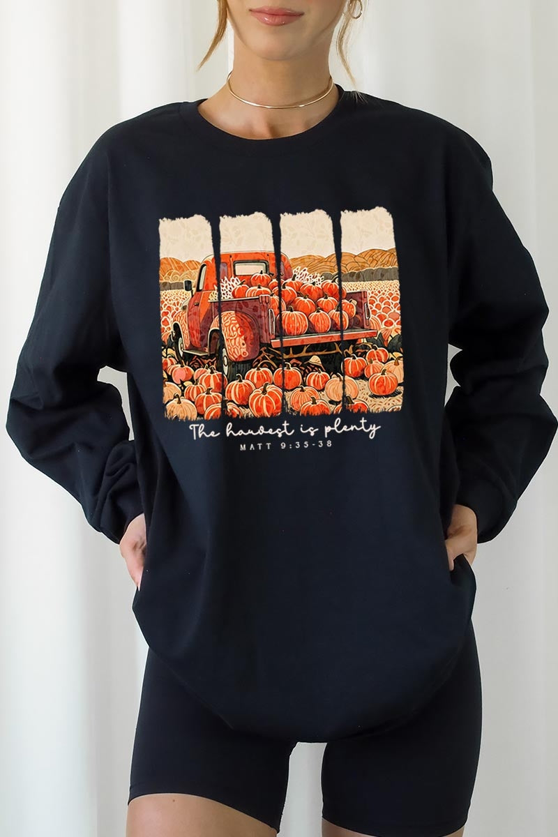 UL240-E3172 Harvest Is Plenty Graphic Long Sleeve Tee $13.75